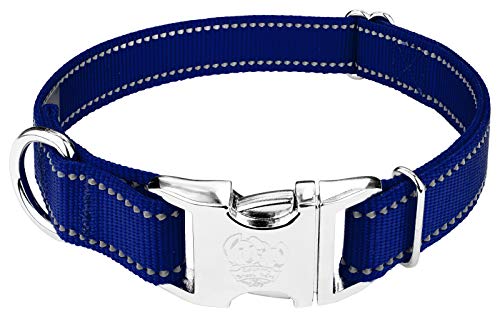 Collar para perro reflectivo nylon 1 pulgada azul royal L