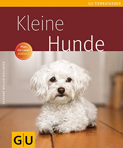 Welches Obst dürfen Hunde fressen? – Tipps und Empfehlungen