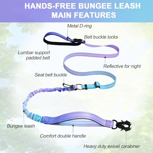 Strapazierfähige Hundeleine mit Schnellverschluss-Karabiner und verstellbarem Bungee-Zugband, für Spaziergänge und Training, mit Auto-Sicherheitsgurt, 1,2 - 1,8 m, Violett