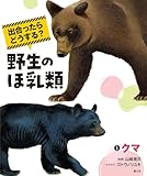 出合ったらどうする? 野生のほ乳類 1クマ
