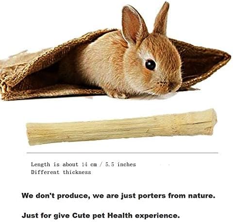 Miniatura 2 de Juguetes masticables de conejo de 5.29 oz, golosinas de conejo hechas de bambú dulce, conejillo de indias para mantener los dientes limpios y encías