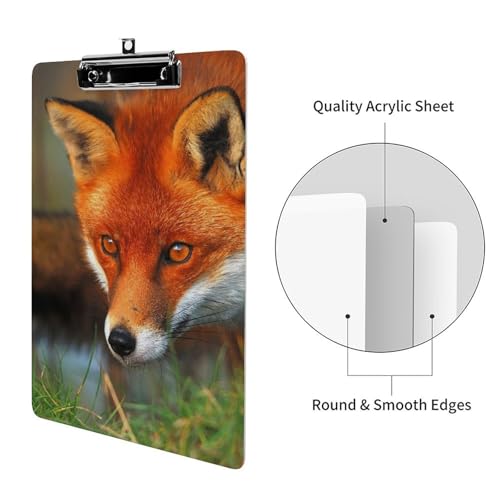Porte-bloc A4 avec pince forte Renard pour support rigide - 3