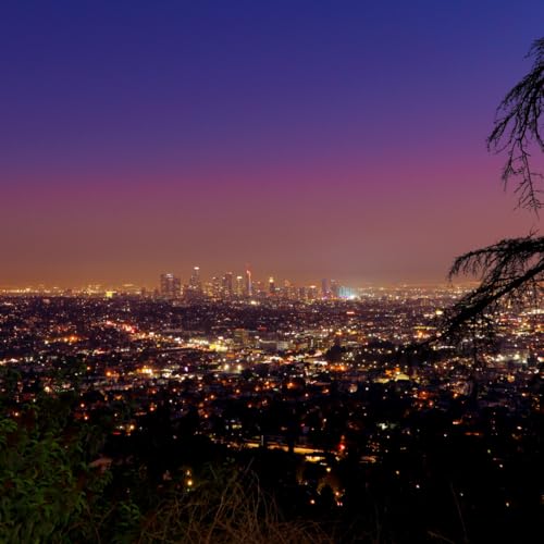 Sepulveda Transit Corridor Update: Metro Board to Consider Modified Alternative 5