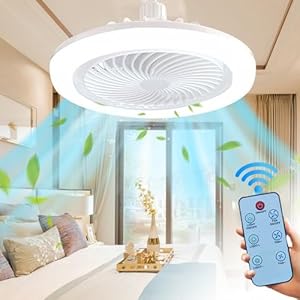 Ceiling Fan with Lights and  , Hidden Electric Fan Enclosed Quiet Ceiling Fan