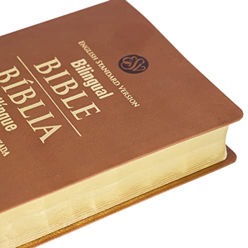 Bíblia de Estudo Bilíngue Português (NAA) – Inglês (ESV)