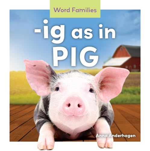 -Ig as in Pig (Word Families)