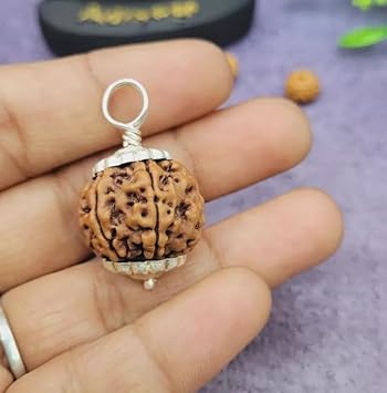 Gemz Mine Auspicious 9 Mukhi Rudraksha Original Certified Nepali Nau Mukhi Rrudraksha 9 Faced Rudraksha Nine Mukhi Durga Maa Rudraksha Navmukhi Rudraksha For Men & Women