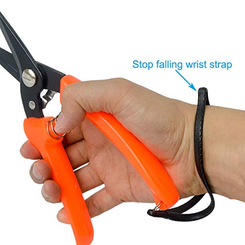 Coupe-Sabots Pour Chèvres Et Moutons - Lot De 2 Sécateurs En Acier Inoxydable, Outil De Parage De Sabot