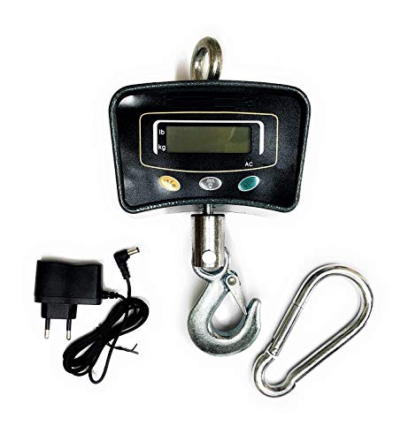 Ogni scala elettronica in acciaio inox industriale...