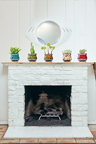 Cute Ceramic Succulent Garden Pots, Planter With Drainage And Attached Saucer, Set Of 5 - Plants Not Included (Fambe) #TOP3