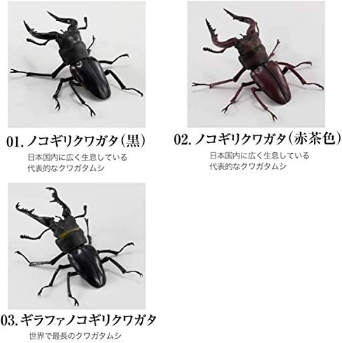 ノコギリクワガタとは 動植物の人気 最新記事を集めました はてな