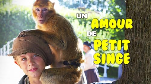 Un amour de petit singe – vue 2