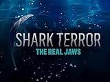 Shark Terror: The Real Jaws