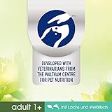 PERFECT FIT Natural Vitality - Katzenfutter Trockenfutter Adult 1+ - Lachs und Weißfisch, 6 x 650g
