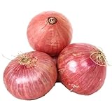 Fresh Produce Onion Loose - 1 kg