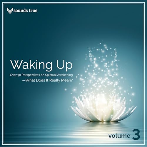 Waking Up Volume 3 cover art