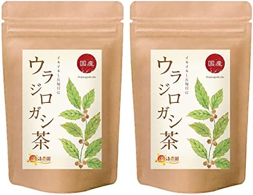 Amazon | ウラジロガシ はいせき茶 煎出用 10g×40包 | 千金丹ケアーズ 
