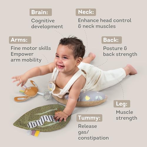 Image of Taf Toys Tummy Time Training Set, Development Support Toy 0-3 Months,Rattle Bunny, Crinckle Leaf Toys Development, Newborn Development Ergonomic Tummy time Toy Baby Toys 0-6 Months Sensory Toys