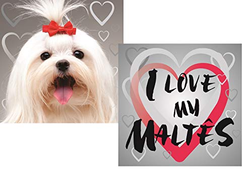 SS Pets Almofada Pet De Raças Maltês Para Cães 45X45Cm