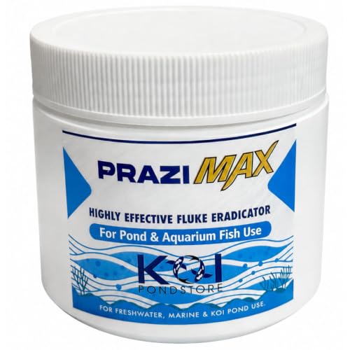PRAZI-MAX for Pond & Aquarium Fish (50 Grams)