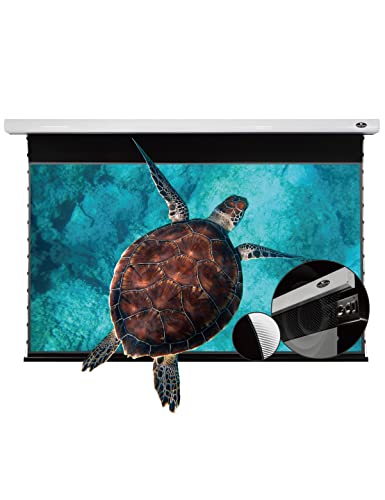 Image of VIVIDSTORM-Indoor Projector Screens,Acoustically Transpatent ALR UST Motor Tension Screen,Electric Tab-tensioned Drop Down Screen,Suitable for Normal Throw Projector tv Projector,VMLUST110HP