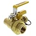 3/4" Full Port Forged Brass Ball Valve w/Single Union End, Hi Flow Hose Drain & Reversible Handle (Lead Free)