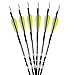 Fleetwood Fiberglass Arrows w/Vanes 6 Pack