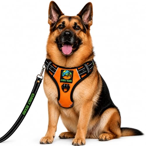 Image of Adjustable Dog Harness with Leash, Orange, XL (36-60 kg)