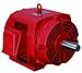 WEG Electric, 06018OP3EFP364TS, 60HP, 1800RPM, 3PH, 208V;230V;460V, 364/5TS Frame, Standard Flange, Foot Mount, OPEN, Fire Pump Motor.