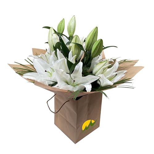 Celestial Grace White Lily Bouquet Fresh Flowers Arrangement for Birthdays, Weddings, Anniversaries, Sympathy, Get-Well, Easter, Thank-You, Indoor Decoration, Occasion Floral Gift