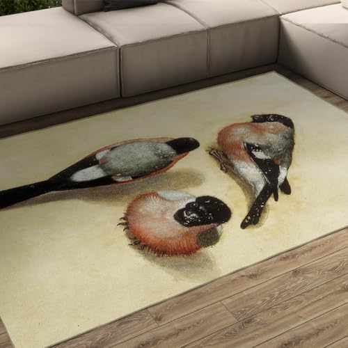 Tapis salon rectangulaire à poils bas douceur bouvreuil chic - 2