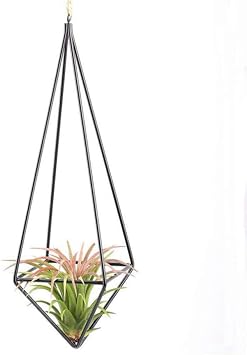 Hanging Air Plants Holders,Metal Geometric Tillandsia Planters with Chain,Rustic Art Air Plant Wall Hanger Rack for Rustic Home Office Decor, Black
