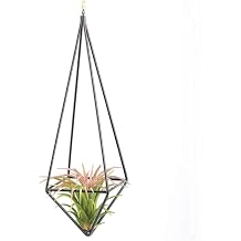 Hanging Air Plants Holders,Metal Geometric Tillandsia Planters with Chain,Rustic Art Air Plant Wall Hanger Rack for Rustic Home Office Decor, Black