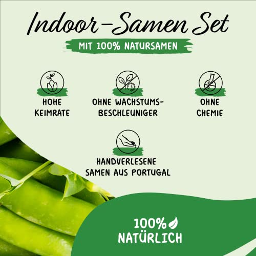 Prademir – Gemüsesamen Set “Indoor-Mix” aus 16 Sorten Premium Gemüse Samen – samenfestes Gemüse Saatgut für Balkon, Gewächshaus, Wohnung, Terrasse & Fensterbank – nahezu 100% Keimrate - Image 3