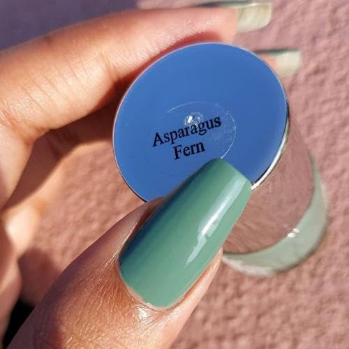 Image of DeBelle Gel Nail Lacquer Asparagus Fern (Sea Green) 8ml Enriched With Natural Seaweed Extract, Cruelty Free, Toxic Free (Glossy Finish)