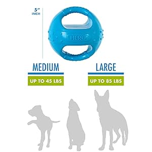 Hero Squeakables Kettle Ball, Dog Toys, Puppy Toys, Pet Toys, Medium, 5 Inches (Blue) Hero Squeakables Kettle Ball, Dog Toys, Puppy Toys, Pet Toys, Medium, 5 Inches (Blue)