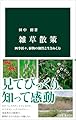 雑草散策-四季折々、植物の個性と生きぬく力 (中公新書 2862)