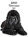 2021 Terre-neuve Agenda: A4, 123 Pages | 14 Mois | Planificateur & Organiseur | Calendrier | Une double page par semaine | Journal | Chien | En Francais