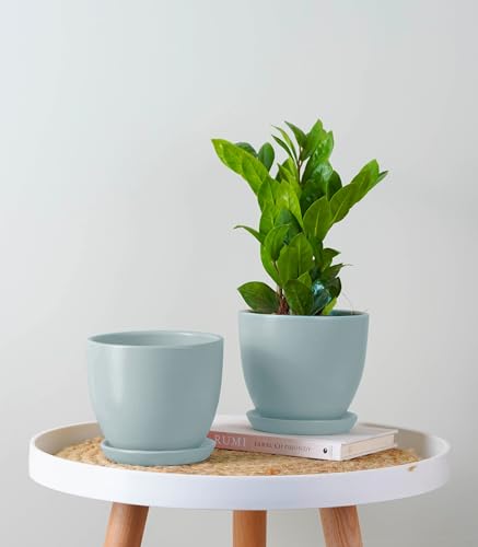 Image of Nurturing Green Set of 2 Modern Mint Green Ceramic Pots for Indoor Plants | Flower Pots for Home Decor(Size: 5 Inch Wide | Comes with Bottom Plate) - [Plants are not Included]