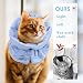 Elisabethanisches Halsband, Halsband nach Operationen, Halskrause Katze Schutz, Einstellbares Weiches Katzen Halskrause, für Katzen Kätzchen Verhindert das Lecken von Wunden (Hellblau, M)