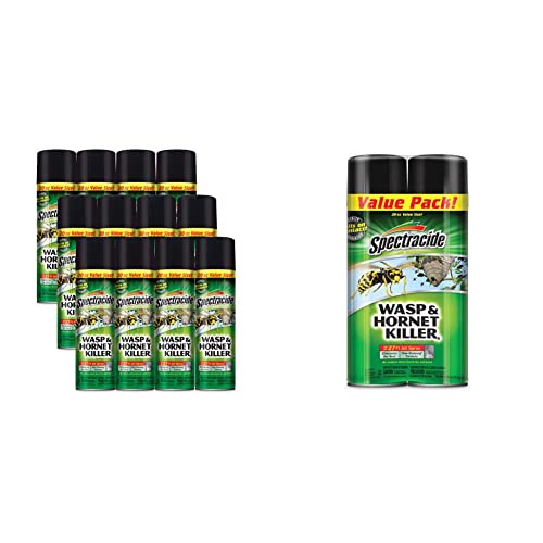 Spectracide Wasp & Hornet Killer, 20-Ounce, Pack of 12 and Wasp & Hornet Killer, Kills Wasps & Hornets, 2 Count, 20 Ounce (Aerosol Spray)
