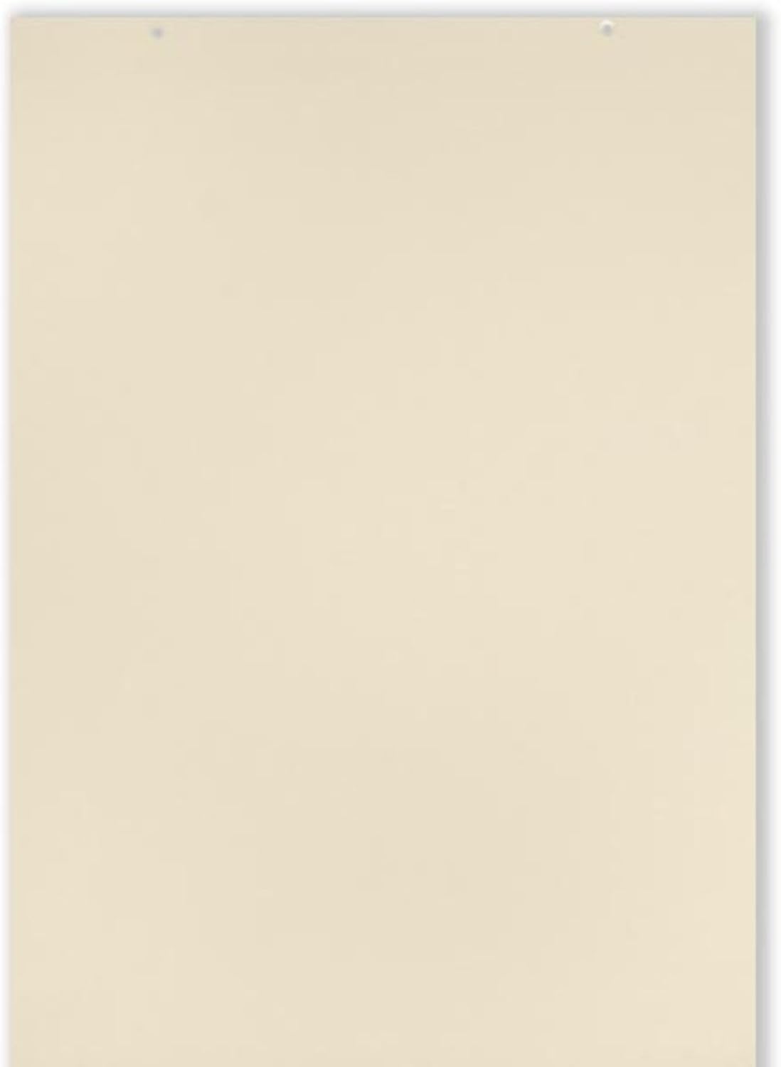 School Smart Jumbo Manila Tag Unruled Chart Paper, 36 x 24 Inches, 100 Sheets