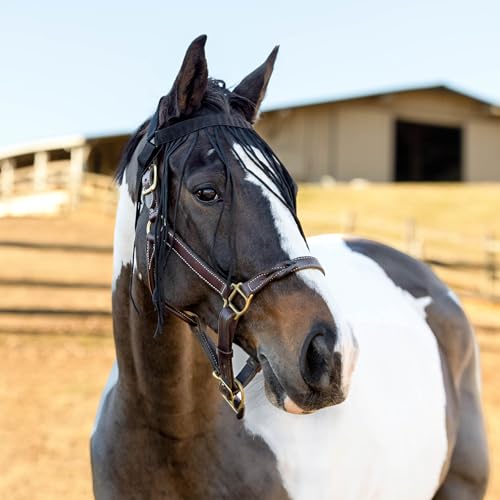 Horze Simple Lightweight Insect and Fly Veil for Sensitive Horses - No Halter Needed - Black - M by HORZE - Image 4