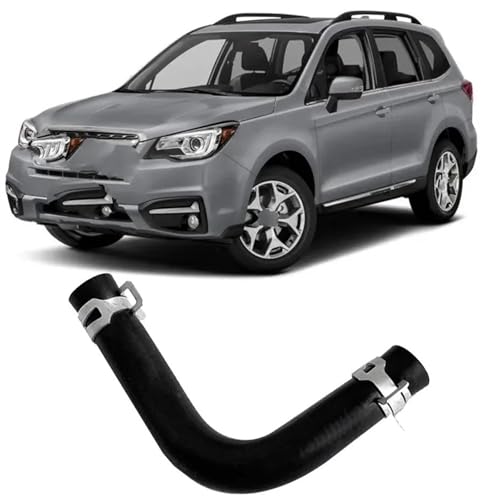 Manguera de purga del cárter Subaru Forester para evitar fallos de ralentí y PCV 2