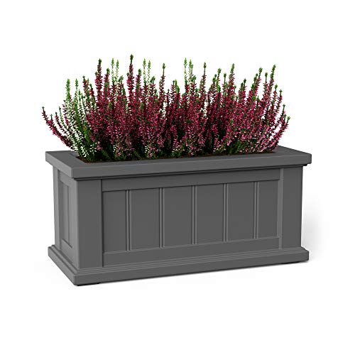 Mayne 4839-GRG Cape Cod 24x11 Square Graphite Grey Planter