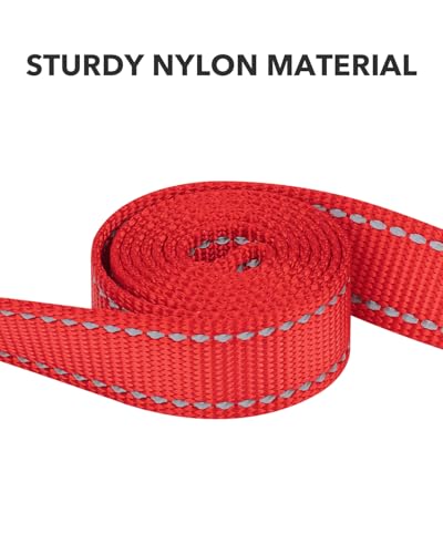 Taglory Hundeleine Kleine Hunde Leicht | Doppelseitig Reflektierend | Gepolsterter Griff | Bis zu 10 kg | 1.8m x 2cm | Rot