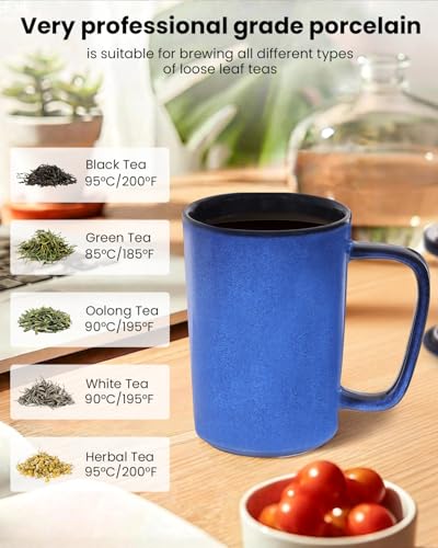 Foinly 16 oz Ceramic Tea Mug with Infuser and Lid,Porcelain Tea Cup with Ceramic Filter for Loose Leaf Tea,Microwave &Dishwasher Safe,Metal-Free,BPA-Free,Perfect for Tea,Coffee (Vintage Blue) — view 5