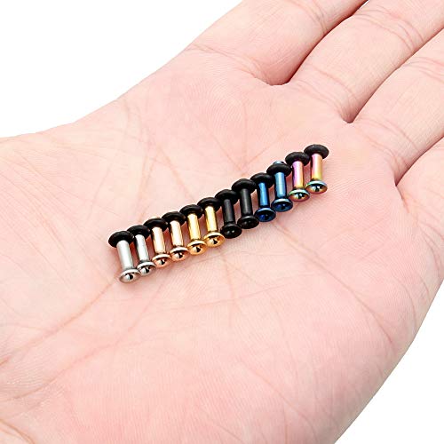 Lcolyoli Ear Gauges Kit Surgical Steel Tunnel Expander Earrings Earlobe Plugs Body Piercing Jewelry Set For Women Men 10G 12Pcs Silver Rose Gold Black Blue Rainbow #TOP2