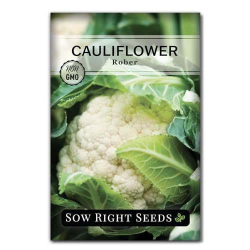 Sow Right Seeds - Rober Cauliflower Seeds for Planting - Non-GMO Heirloom Packet with Instructions to Plant & Grow an Outdoor Home Vegetable Garden - Climate Adaptable with Large Heads (1)