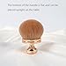 Nail Art Dust Brush Soft Nail Dust Powder Remover Brush Nail Cleaning Brushes Manicure Duster Tools (Rose Gold)